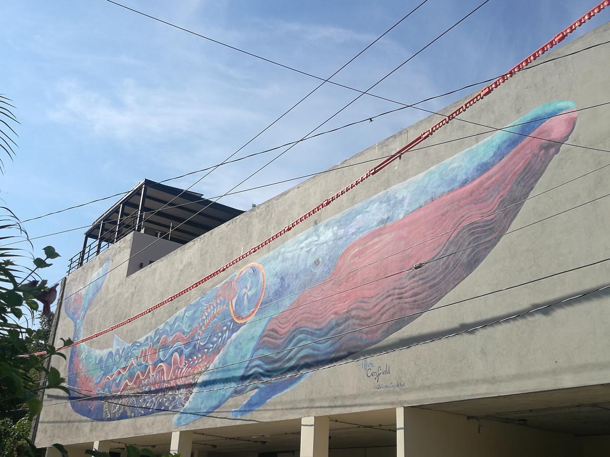 Casa De La Ballena (Adults Only) Sayulita Exterior photo